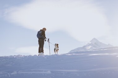 Winter holidays with your dog in Zell am See-Kaprun | © JFK Photography