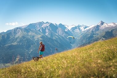 Hiking in the mountains with your four-legged friend | © Zell am See-Kaprun Tourismus