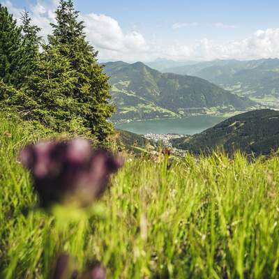 View of the lake from the Schmittenhöhe | © Zell am See-Kaprun Tourismus
