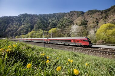 A train traveling through a green landscape with blooming trees and mountains in the background. | © Harald Eisenberger 