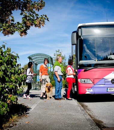 Easy with the buses to your favourite attraction | © Doris Wild 