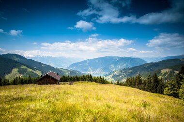 Sommerwanderung in der schönsten Region des SalzburgerLandes | © Zell am See-Kaprun Tourismus
