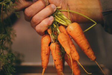 Fresh carrots with greens in hand held over a stainless steel tray, ready for preparation. | © Zell am See-Kaprun Tourismus