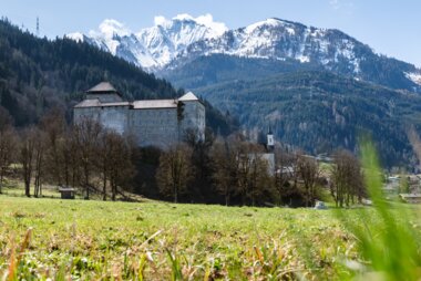 View of a castle in spring against a mountain backdrop with snow-capped peaks, with grasses and plants in the foreground. | © Zell am See-Kaprun Tourismus