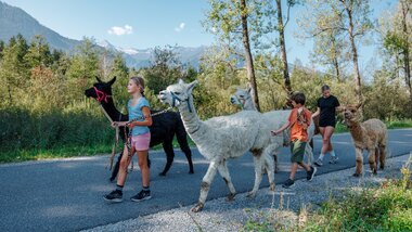 Children walk with llamas and alpacas along a trail in nature, surrounded by trees and mountains. | © Zell am See-Kaprun Tourismus