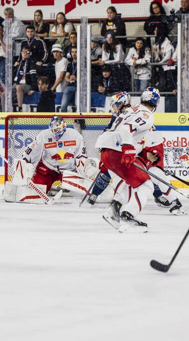 Ice hockey game with players battling for the puck, goalies in action, and spectators in the background. AI-generated text. | © ECRedBullSalzburgGintareKarpaviciute