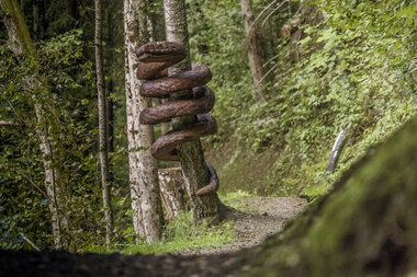 Art installation of twelve wooden sculptures attached to a tree in a forest.