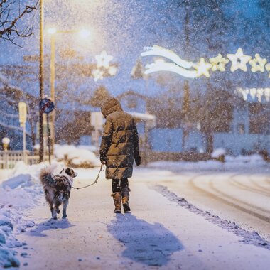 A person walks a dog through a snowy city at nightfall with Christmas decorations in the background. | © JFK Photography