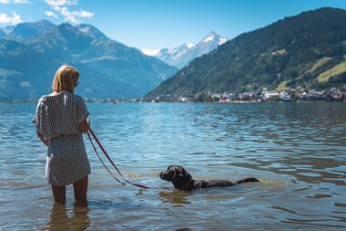Person walking a dog in a lake with scenic mountains in the background. | © Zell am See-Kaprun Tourismus