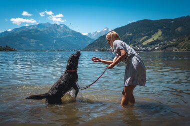 Person training a dog in a lake, surrounded by mountains and a blue sky, in good weather. | © Zell am See-Kaprun Tourismus