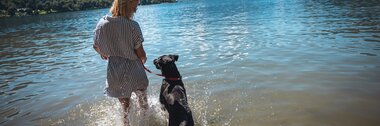 Person playing with a dog in the lake with mountains in the background, standing happily in the water. | © Zell am See-Kaprun Tourismus