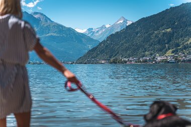 Person at the lakeshore with dog and mountain scenery in the background, during a walk by the lake.