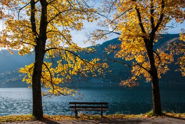 Autumn landscape featuring two trees and a bench by a lake, with falling leaves and mountains in the background. | © Christian Mairitsch