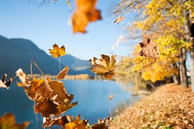 Herbstliche Stimmung in Österreich | © Christian Mairitsch