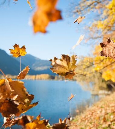 Herbstliche Stimmung in Österreich | © Christian Mairitsch