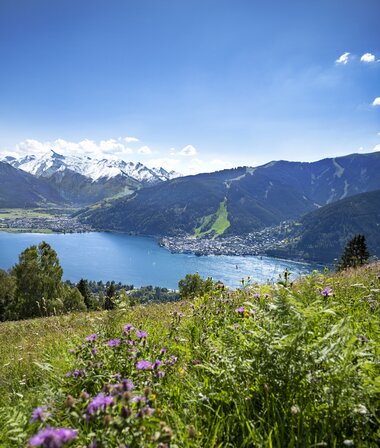 View of glacier, mountain and lake | © Zell am See-Kaprun Tourismus