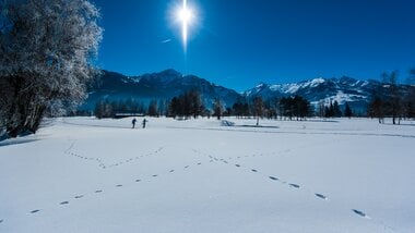 Cross-country ski track in the nature | © Zell am See-Kaprun Tourismus