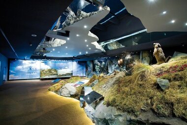 Museum exhibition featuring models of mountains, animals, and landscapes, illuminated with modern lighting. | ©  National Park Worlds Mittersill