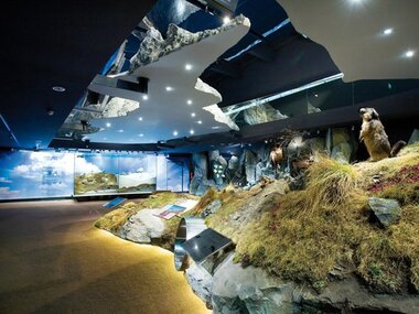 Nationalparkwelten Museum in Mittersill | ©  National Park Worlds Mittersill