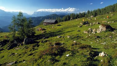 Bergkulisse in den Alpen | © Zell am See-Kaprun Tourismus
