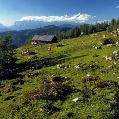 Bergkulisse in den Alpen | © Zell am See-Kaprun Tourismus