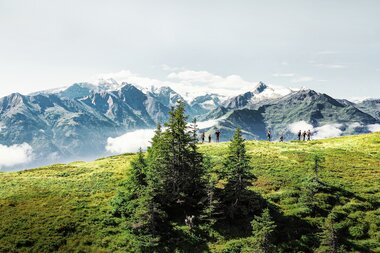 Panorama Trail mit Blick aufs Kitzsteinhorn | © Harry Liebmann 