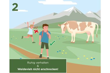 Stay calm and do not scare livestock, as illustrated with a dog and a cow in the image. | © Zell am See-Kaprun Tourismus