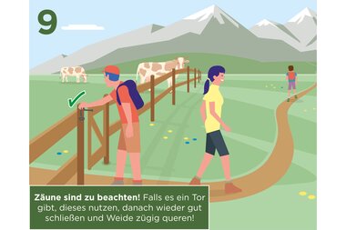 Advice on safe hiking behavior in mountain areas, using gates and returning promptly to the trail. | © Zell am See-Kaprun Tourismus