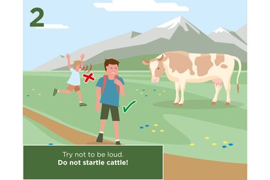 Hiking reminder: Do not shout to avoid startling cattle. | © Zell am See-Kaprun Tourismus