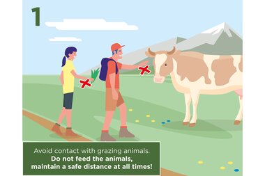 Warning to avoid contact with grazing animals while hiking, do not feed, maintain a safe distance. | © Zell am See-Kaprun Tourismus