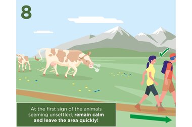 Instructions for reacting to animals when they appear unsettled, with hikers in a mountain landscape. | © Zell am See-Kaprun Tourismus