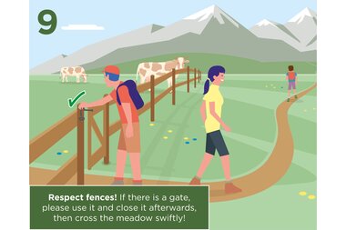 Hikers passing through a fence in a mountain landscape with animals and snow-capped peaks in the background. Reminder to respect fences. | © Zell am See-Kaprun Tourismus